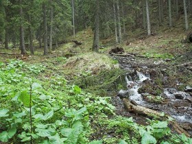 turizmus, programok, erdélyi vakáció